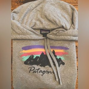 Patagonia Grey Fitz Roy Mountain Scene Graphic Hoodie